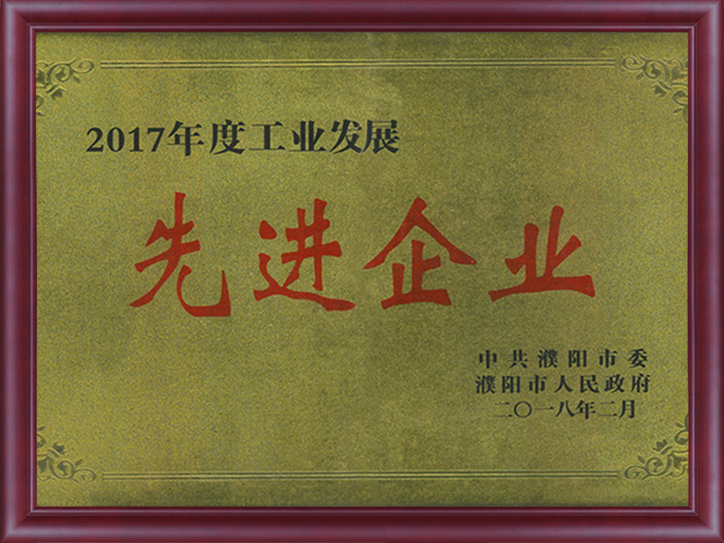 濮陽市工業(yè)發(fā)展先進企業(yè)